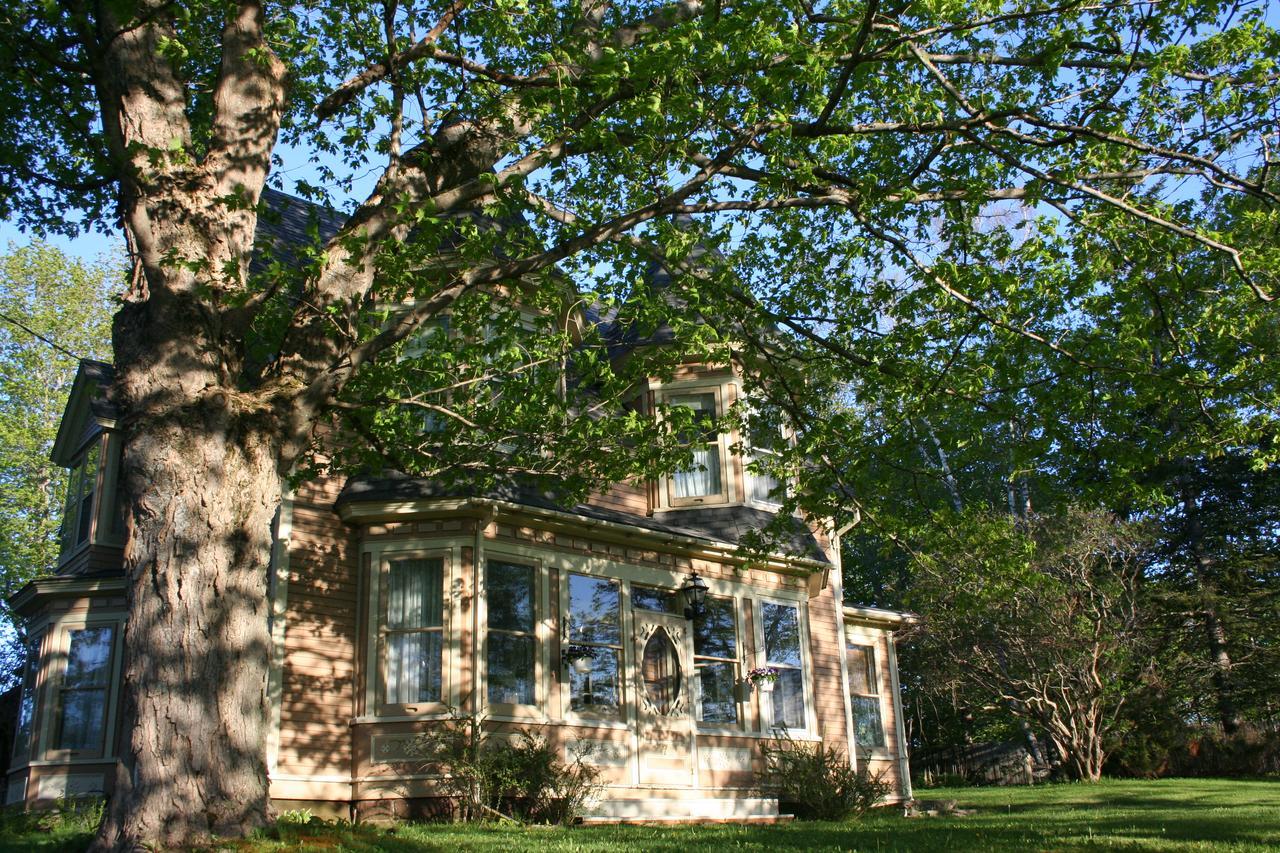 Sackville Bed And Breakfast Eksteriør bilde
